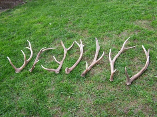 tak este sa predsa nieco postastilo