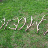 tak este sa predsa nieco postastilo