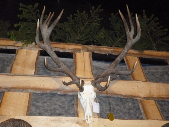 chovatelská prehliadka Vlachovice za rok 2011