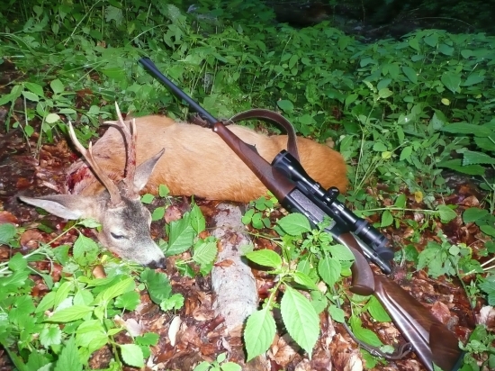 Keď sv. Hubert praje :)