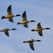 prelet nad šíravou