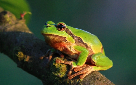 pozerám,hádam sprchne