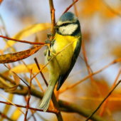 trošku cvičenia nezaškdí