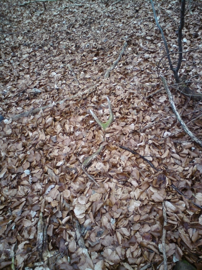 Minuloročný-prvý pohľad