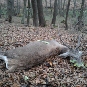 KeĎ neprší,aspoň kvapká