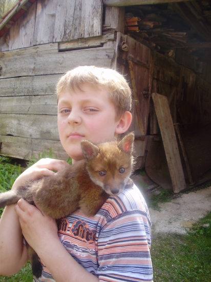 kamaráti