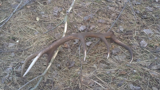 Moja prvá trofej...