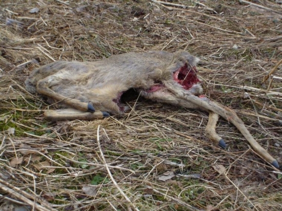 Clovek alebo priroda