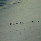 Hladanie potravy v obdobi nudze