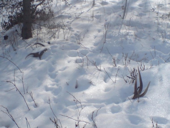 po celorocnej praci uspech