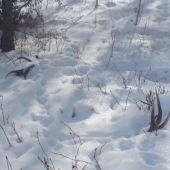 po celorocnej praci uspech