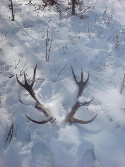 tie spod snehu ale minulorocne