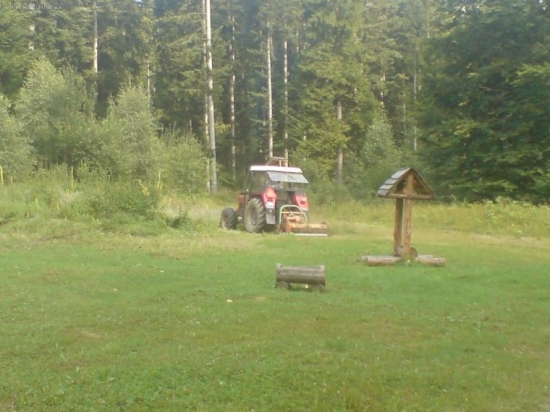 mulcovanie starej lucky