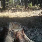 vybudovanie noveho solnika