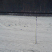 obednajsia siesta na slnku