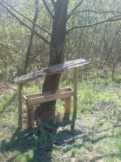 vybud.noveho siliska