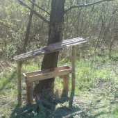 vybud.noveho siliska