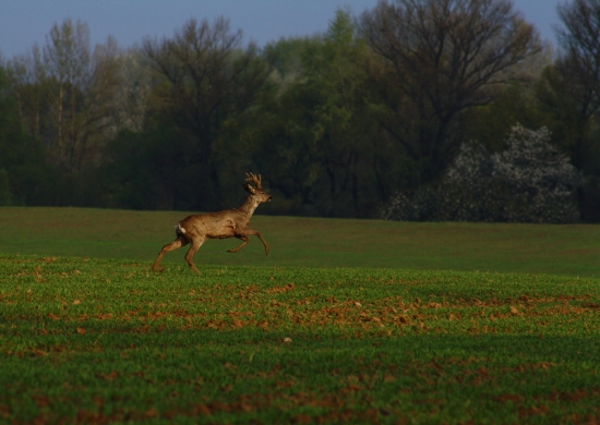 prvá ako tak vydarená fotografia