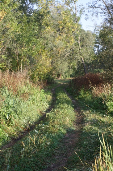 cestička