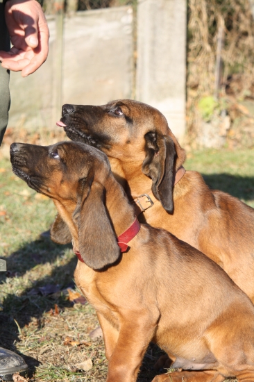 daj nám už jesť...