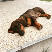 Únava po skúškach