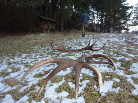 Parádička najväčšia