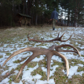 Parádička najväčšia