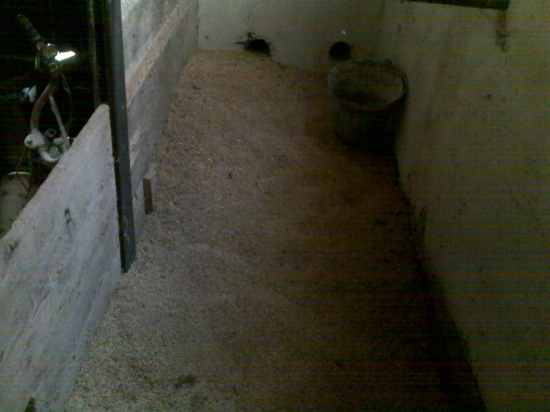 spšenica a jačmen pre zver