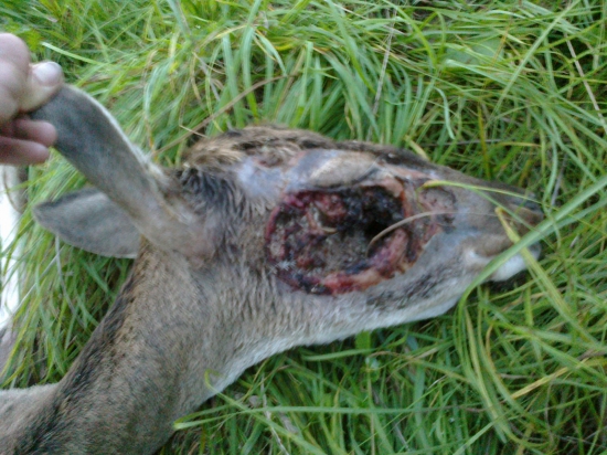 (Ne)myslel a nechybil...