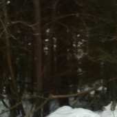 nedeľná prechádzka