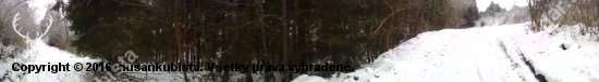 nedeľná prechádzka