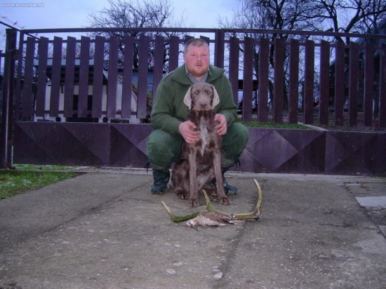 Včerajší úlovok, všetko vďaka psovi