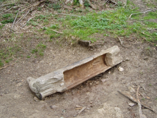 Starostlivost o zver