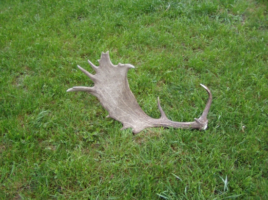 Jeden z tých menších