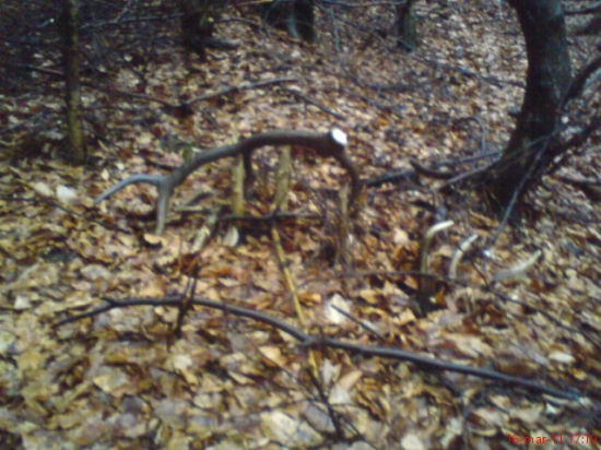 skoda ze zo neni parka ten v listi je vlanajsi