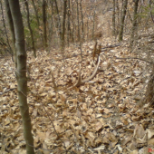 pozeral som sa ako ho zhodil