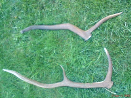 aj taketo sa daju najst