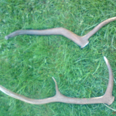 aj taketo sa daju najst