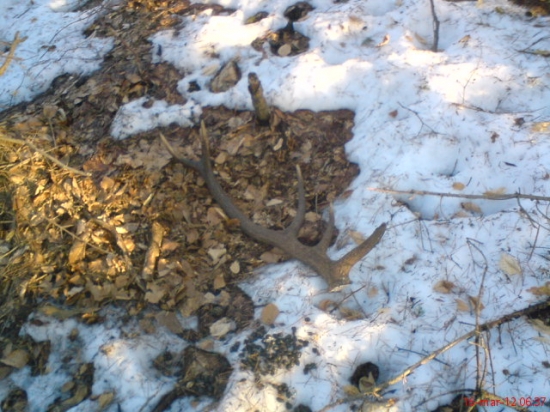 dnesny 12torak 2kg na starom lezovisku