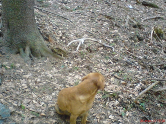 rokyho prvy v tomto roku