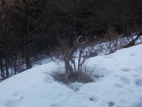 Maskovaný 10-torák