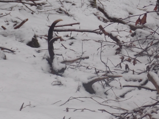 ešte jeden z nedele 12-torák 2,20 kg