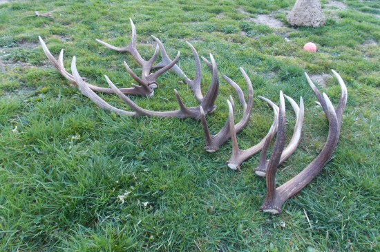 úspešný podvečer