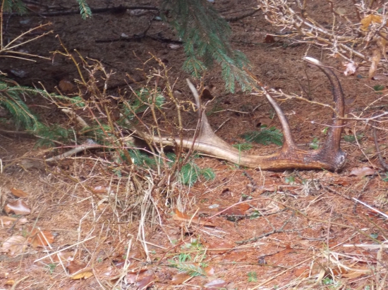 Tretí 2016, prvý čerstvý