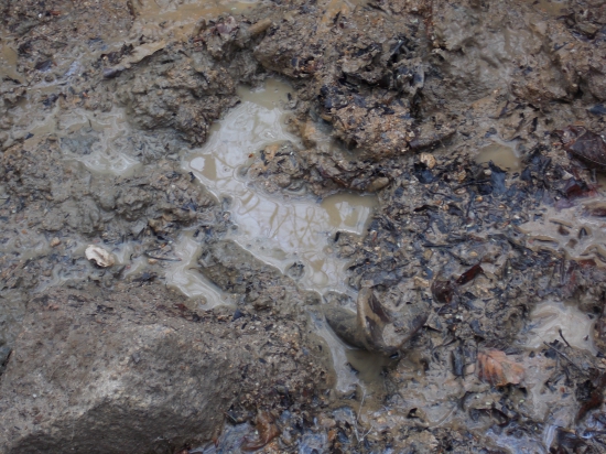 páni, tak aj toto je paroh