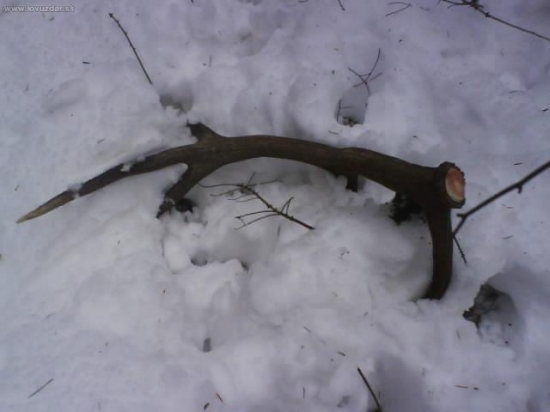 vlani o takomto case