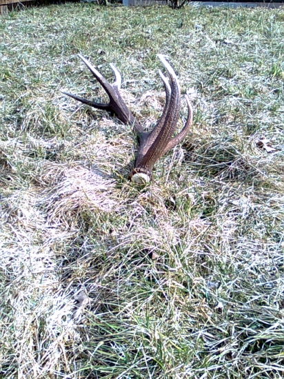 vcerajsi vedla hlavnej cesty