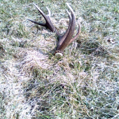 vcerajsi vedla hlavnej cesty