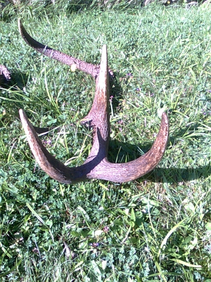 10 torak z roku 2011