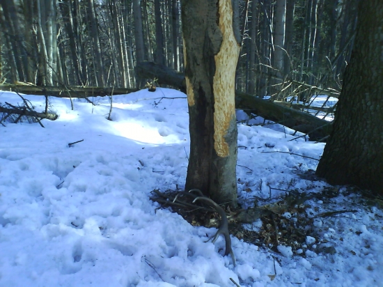 Dnesny krasny pohlad